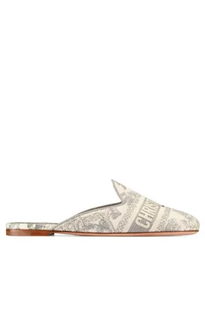 Dior Toile de Jouy Motif Flat Mules in Grey Stone