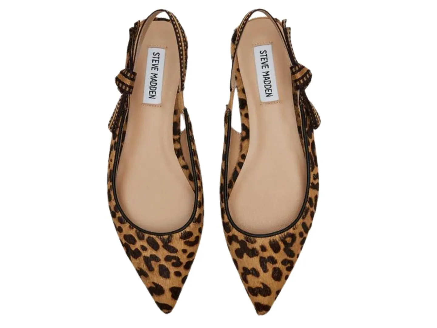 Steve Madden: Olsen in Leopard